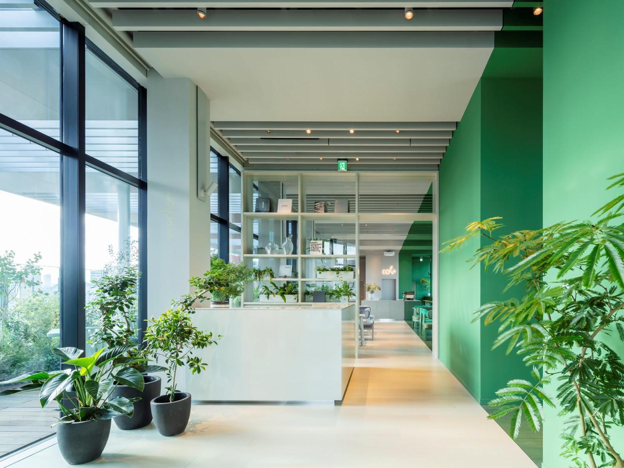 Toggle Hotel Suidobashi Tokyo — Photos 1